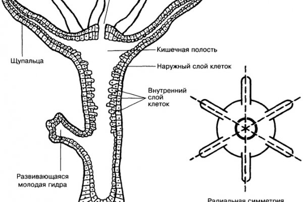 Покупка биткоинов на блэкспрут