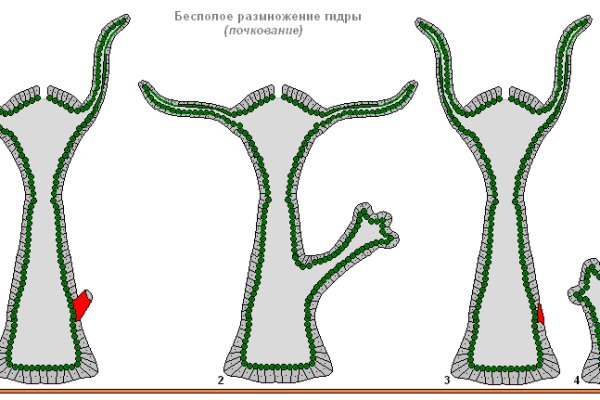 Кракен даркнет ссылка