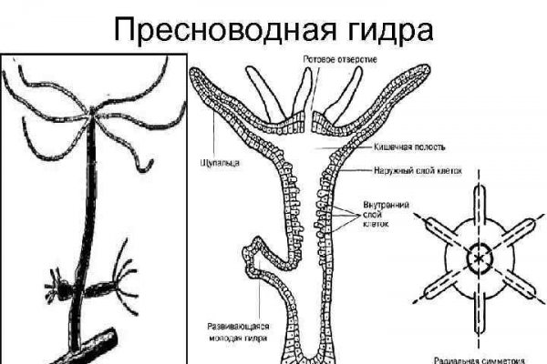 Лучшие наркошопы