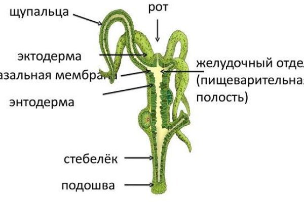 Долгое ожидание перевода от обменника на блэкспрут